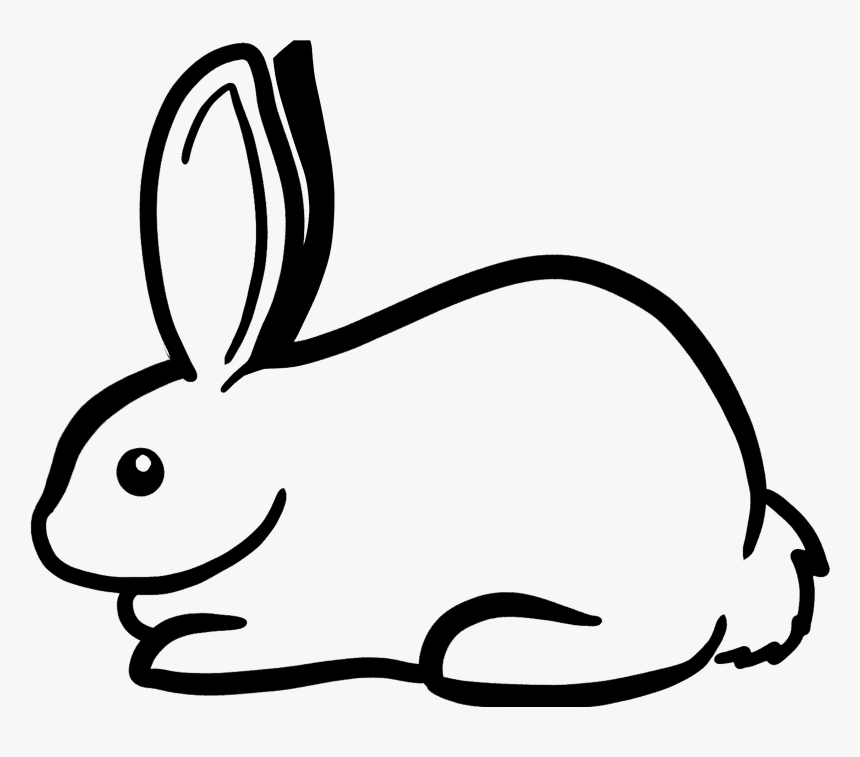 Domestic Rabbit, HD Png Download