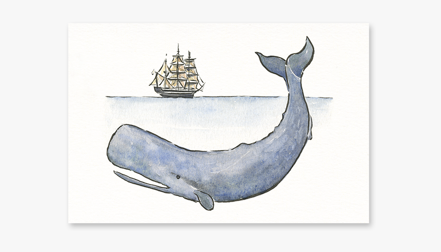 Moby Dick Post-card - Humpback Whale, HD Png Download