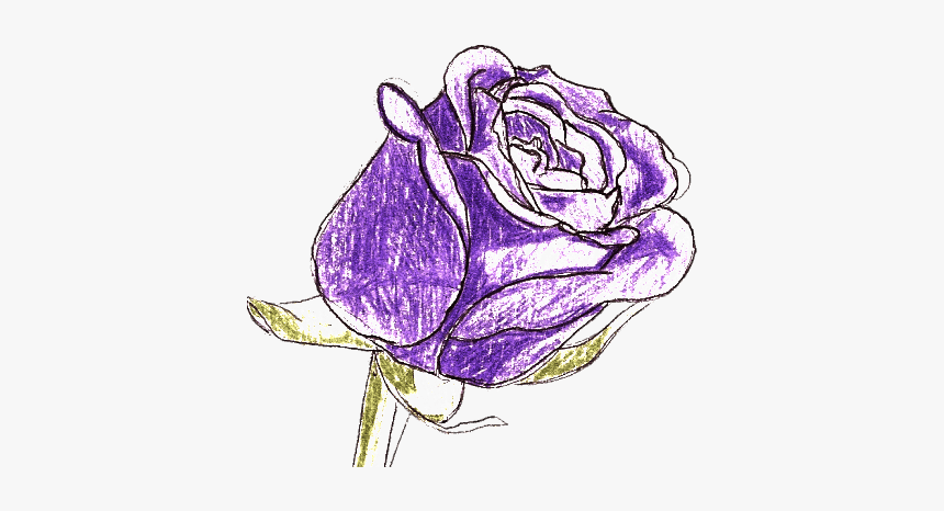 Garden Roses, HD Png Download