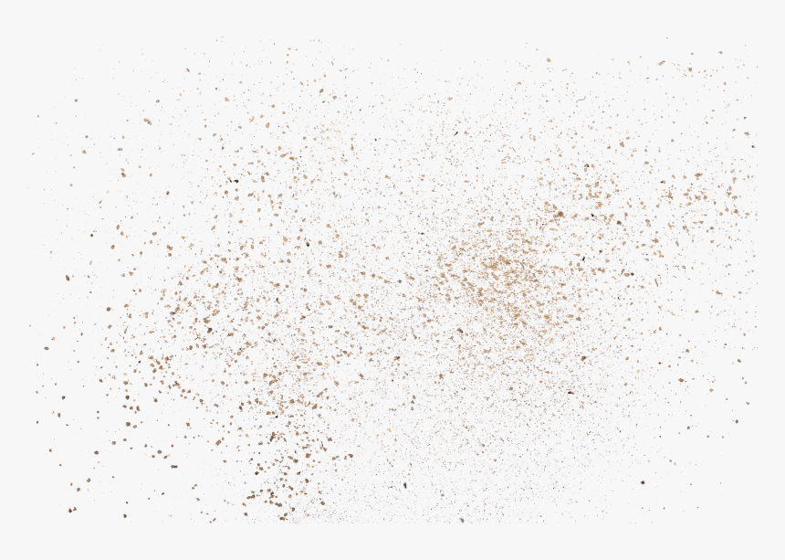 Bird, HD Png Download