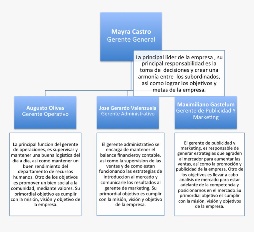 Organigrama - Descripcion De Un Organigrama, HD Png Download