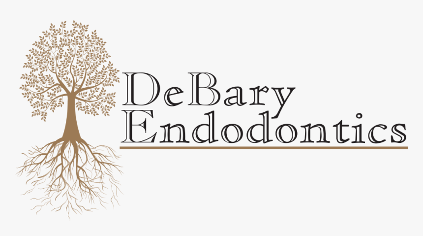 Debary Endodontics - Calligraphy, HD Png Download