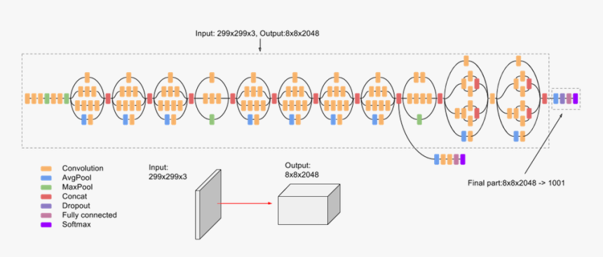 The Inception Model Readme Has More Information About - Inception V3 Transfer Learning, HD Png Download