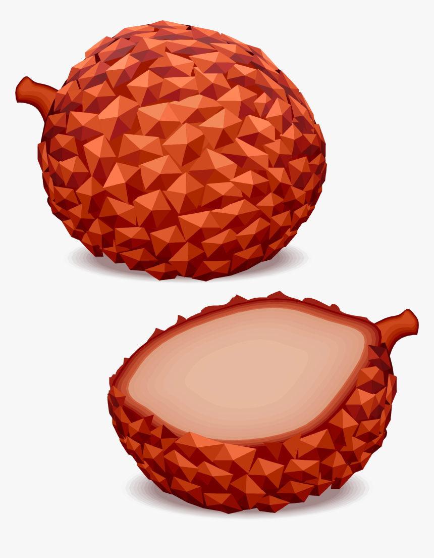 Big Image Png - Tropics, Transparent Png