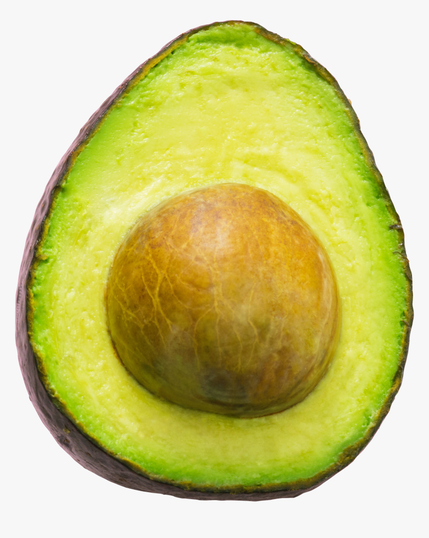 Avocado, HD Png Download