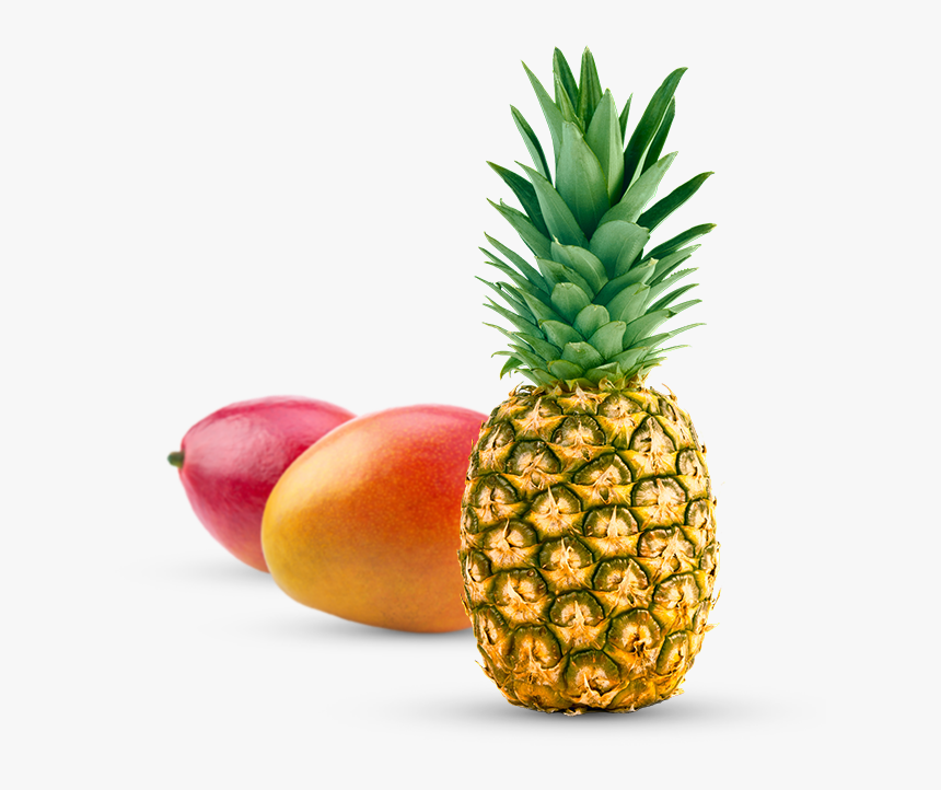 Pineapple In Different Languages, HD Png Download