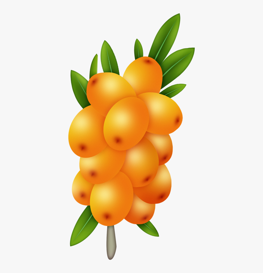 Tropical Watercolor Fruit, Fruit Painting, All Fruits, - Portable Network Graphics, HD Png Download