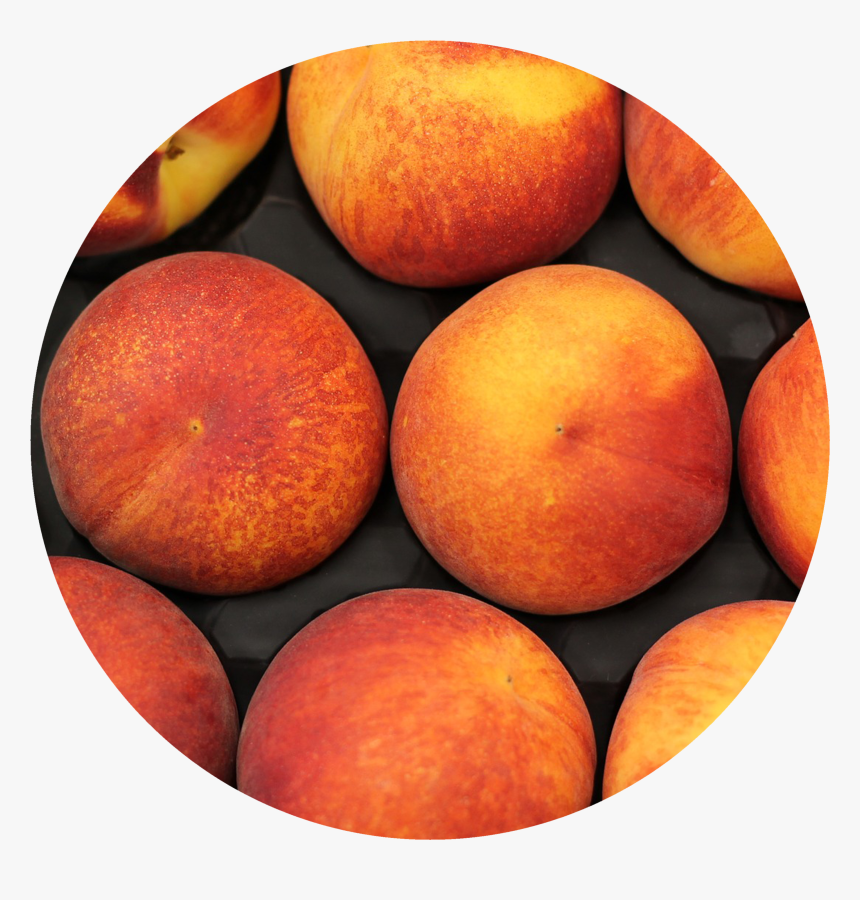 Peach, HD Png Download