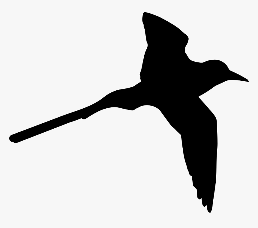 Tropical Bird Shape Of Long Tail - Tropical Bird Icon, HD Png Download