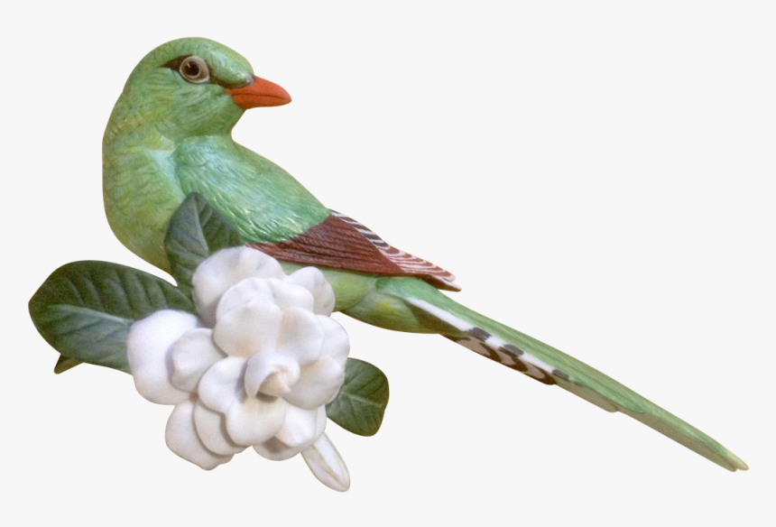 Green Magpie Png, Transparent Png