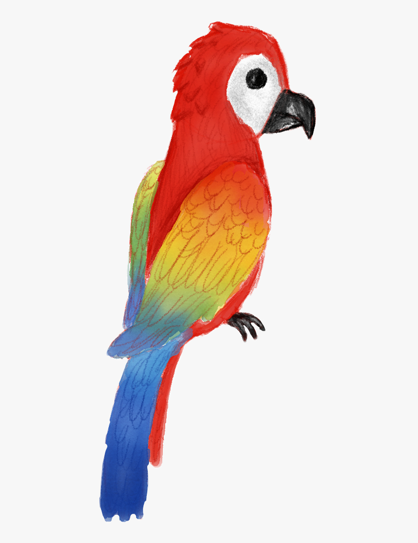 #parrot ##summer #tropical #tropicalstickers #tropicalbirds - Macaw, HD Png Download
