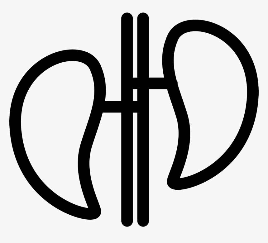 Internal Human Organs Couple - Graphics, HD Png Download