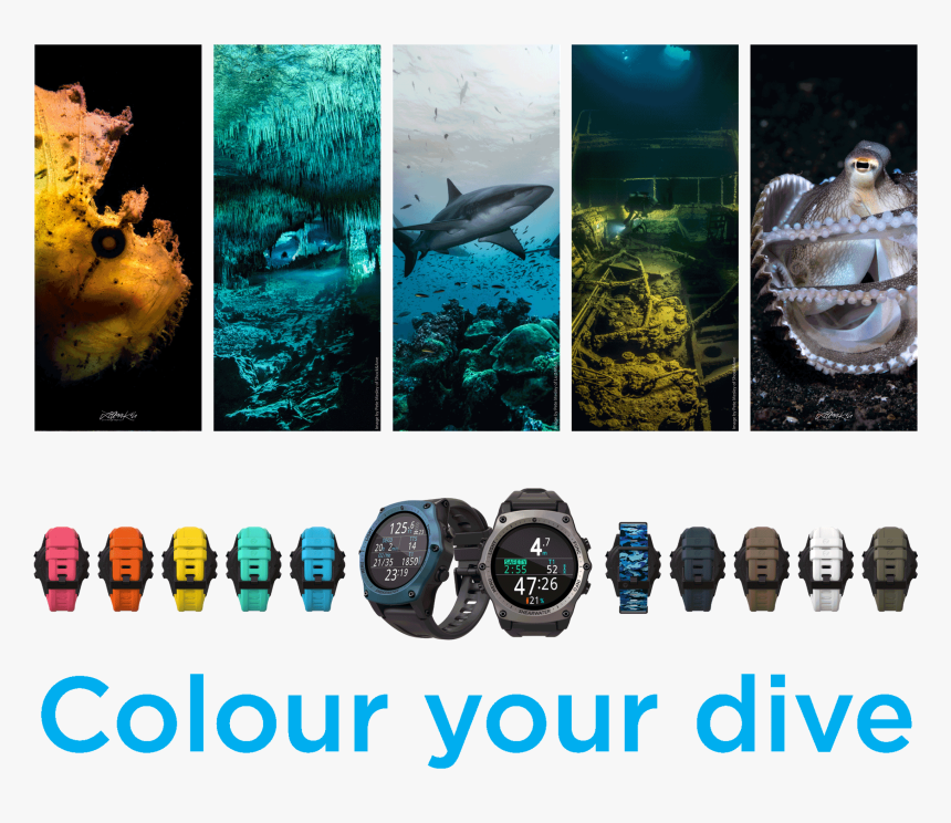 Shearwater Teric Pgn, HD Png Download