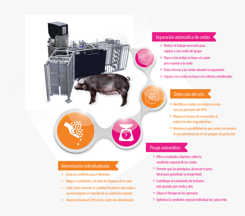 Nedap - Graphic Design, HD Png Download