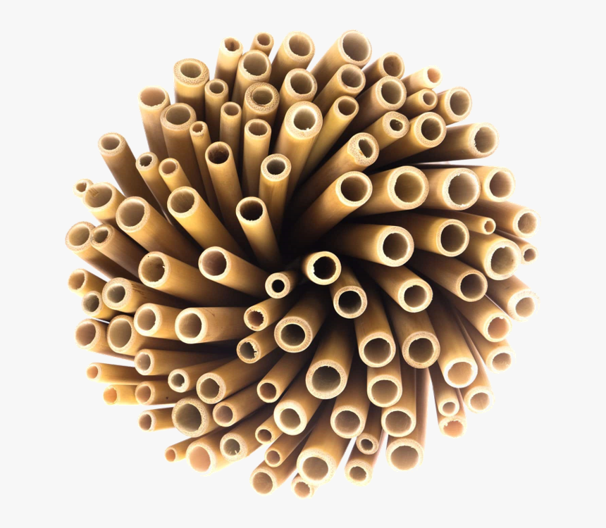 Wholesale Bamboo Straws, HD Png Download