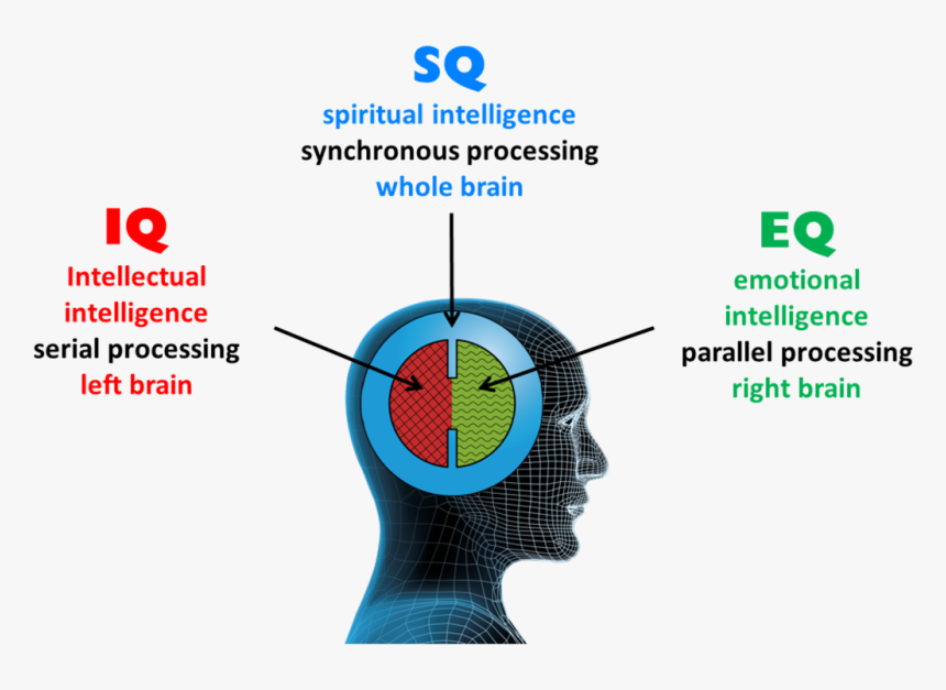 Three Dimensions Of Intelligence - Conceito De Inteligência Espiritual, HD Png Download