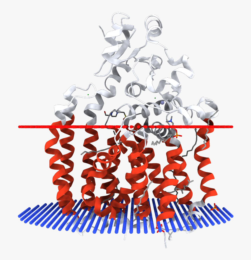 Illustration, HD Png Download