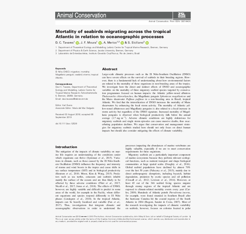 Folio Eighteen From Burchard Of Sion's De Locis Ac, HD Png Download