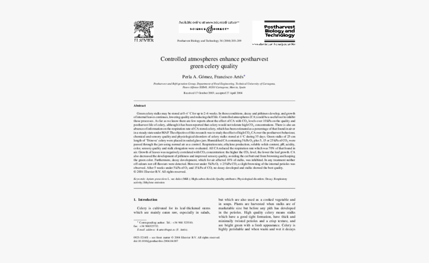 Document, HD Png Download