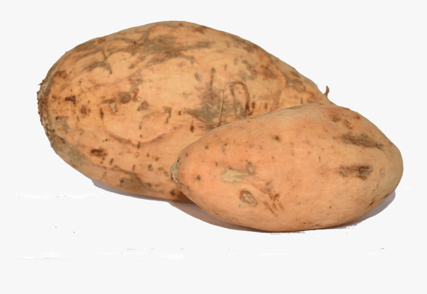 Russet Burbank Potato, HD Png Download