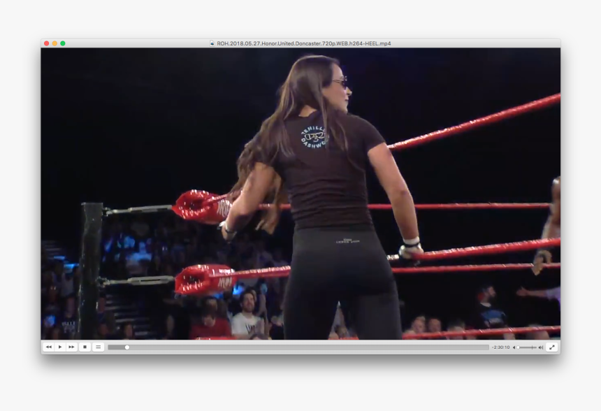 Professional Boxing, HD Png Download