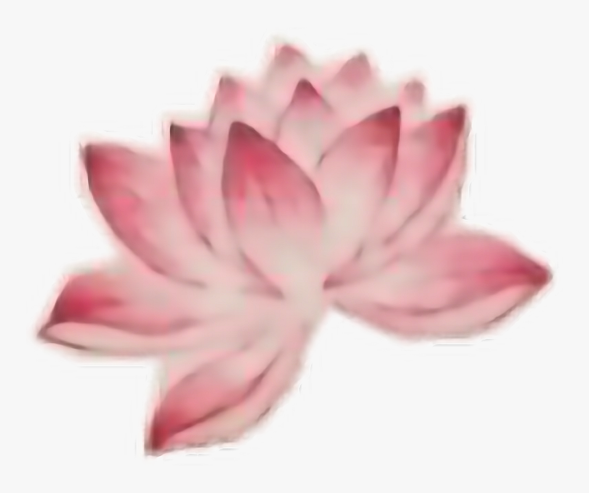 #flower #tattoo #interesting #art #people #freetoedit - Sacred Lotus, HD Png Download