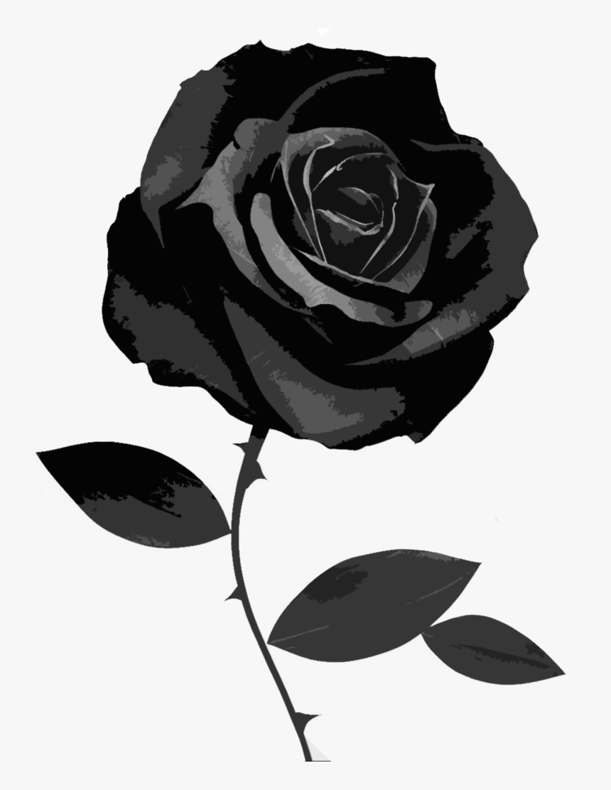 Thumb Image - Black Rose Transparent Background, HD Png Download