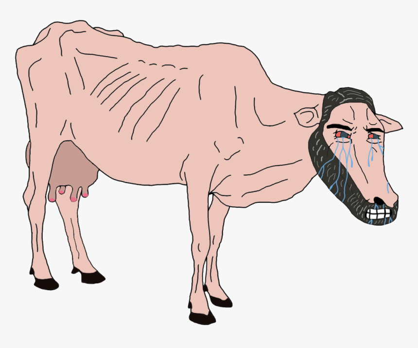 Dairy Cow, HD Png Download