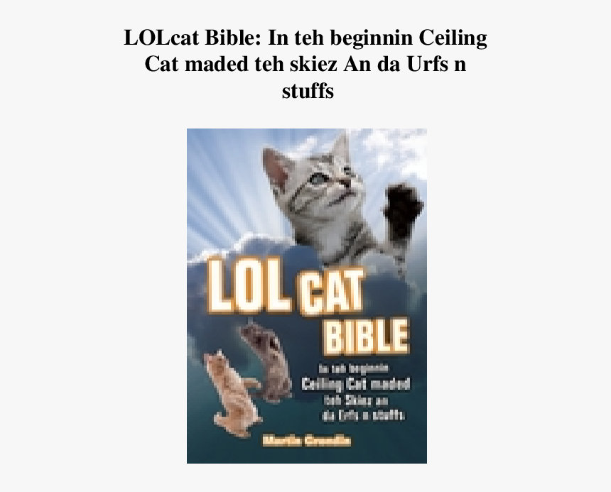 Cat Memes Christmas Themed, HD Png Download