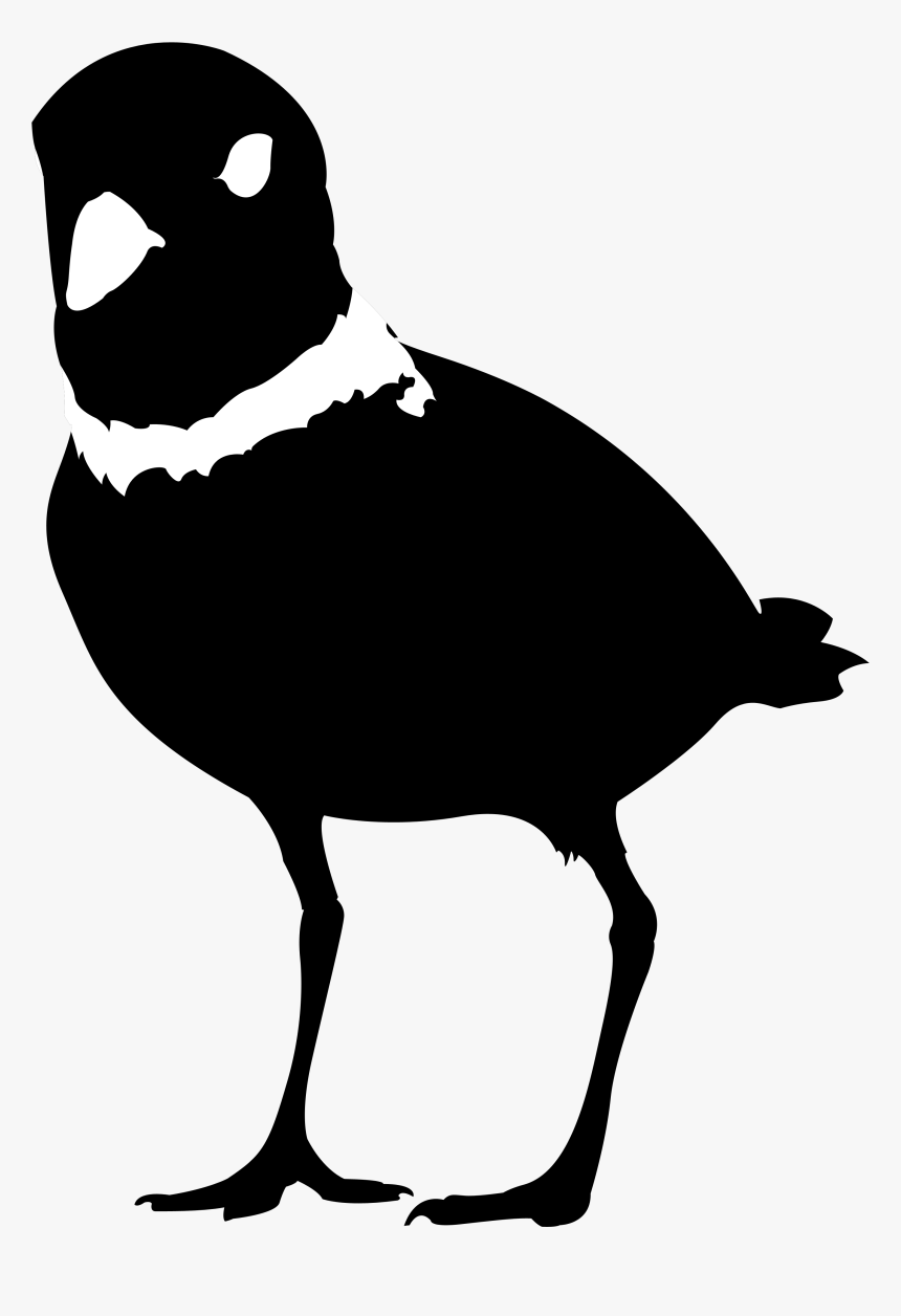 Rose Breasted Grosbeak, HD Png Download