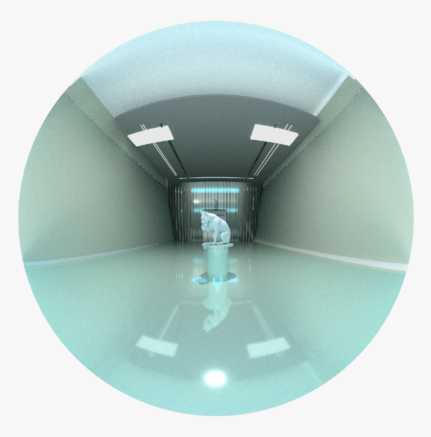 Circle, HD Png Download