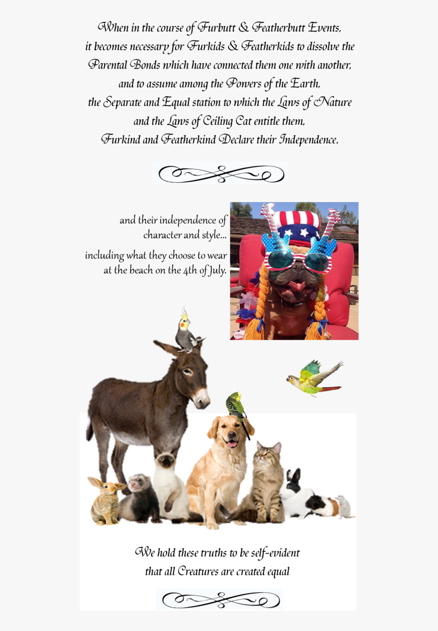 Goats, HD Png Download