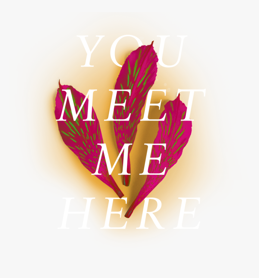 Tigerpetals - Graphic Design, HD Png Download