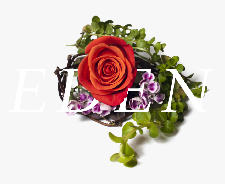 Bestill Header Element - Garden Roses, HD Png Download