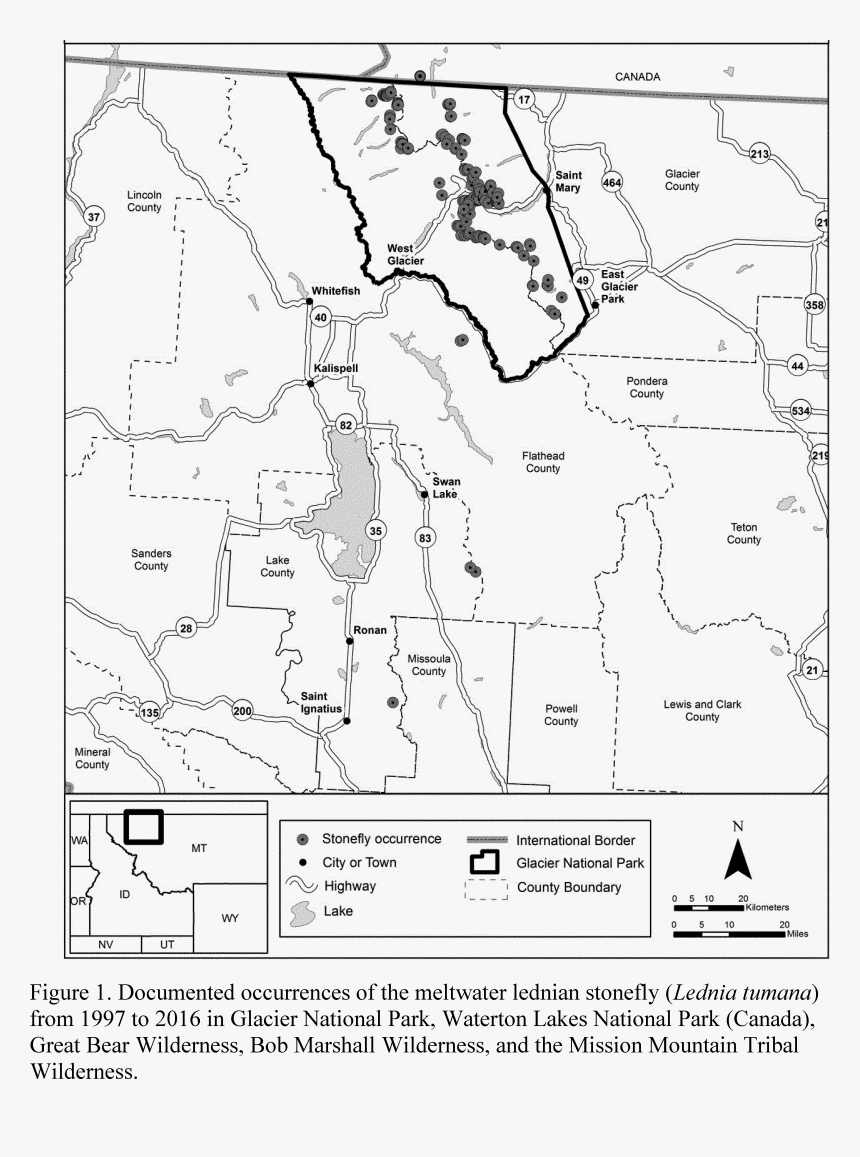 Diagram, HD Png Download