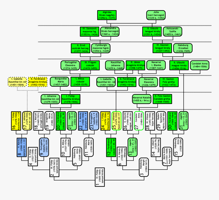 Fülöp Spanyol Király Kombinált Leszármazási És Őstáblája - Illustration, HD Png Download