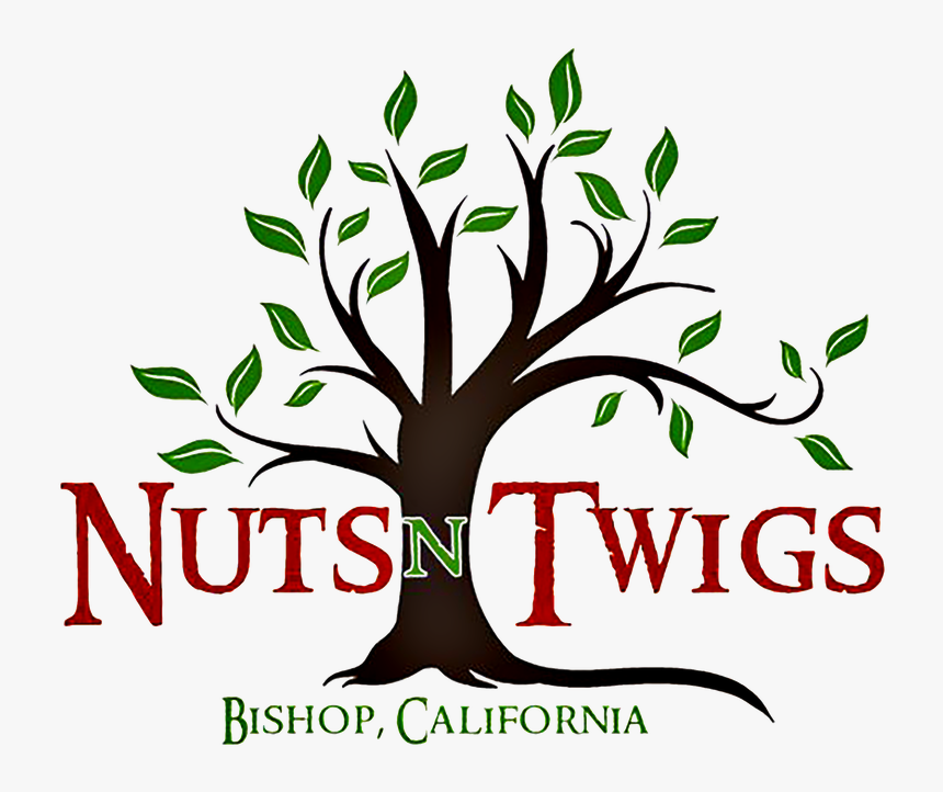 Picture - Woodworkers Cabinet Of Naples, HD Png Download