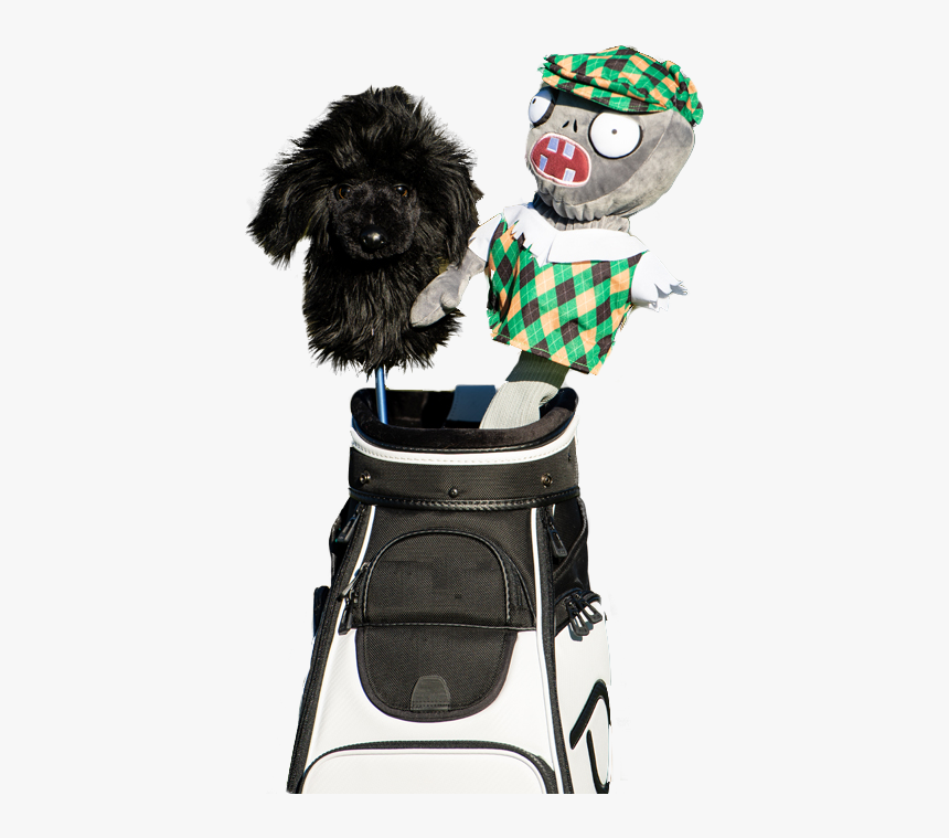Black Poodle Golf Head Cover, HD Png Download