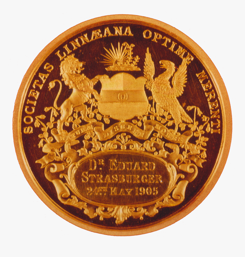 Eduard Strasburger Linne Medaille - Coin, HD Png Download