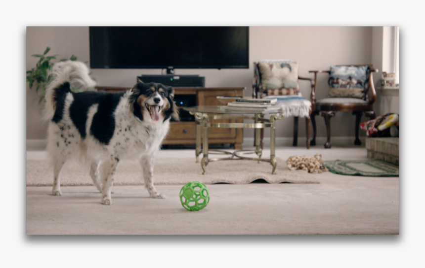 Screen Shot 2015 06 25 At, HD Png Download