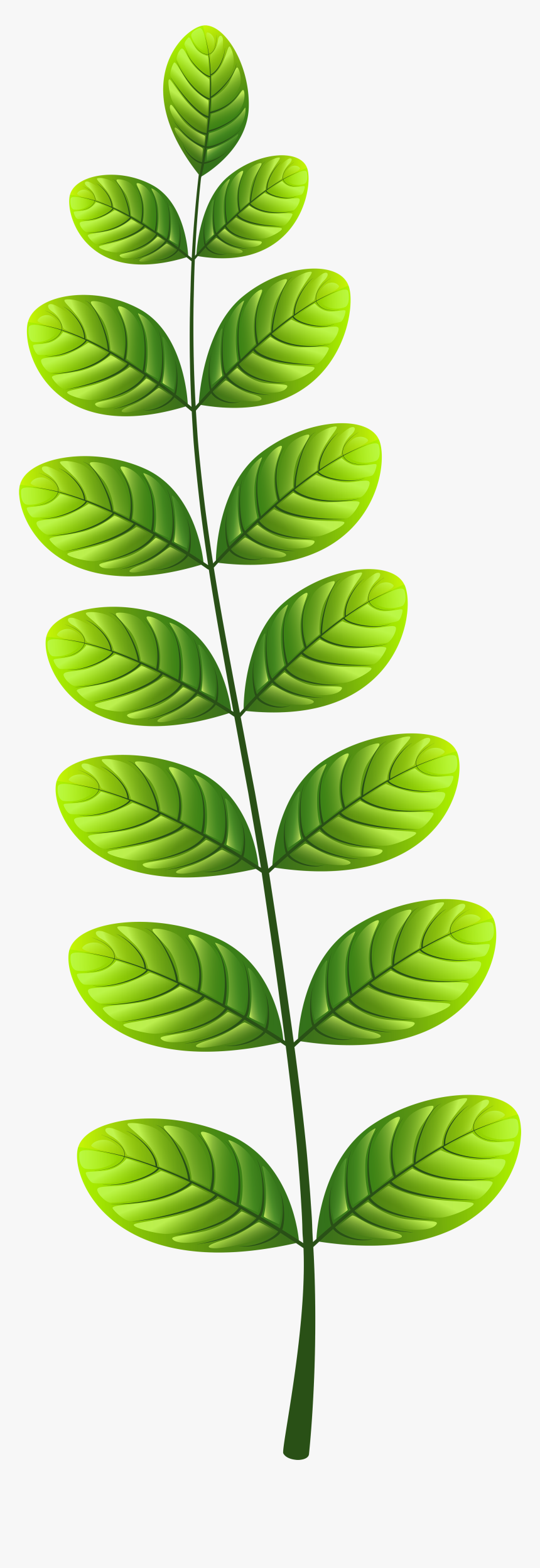 Leaf Png Clip Ar, Transparent Png