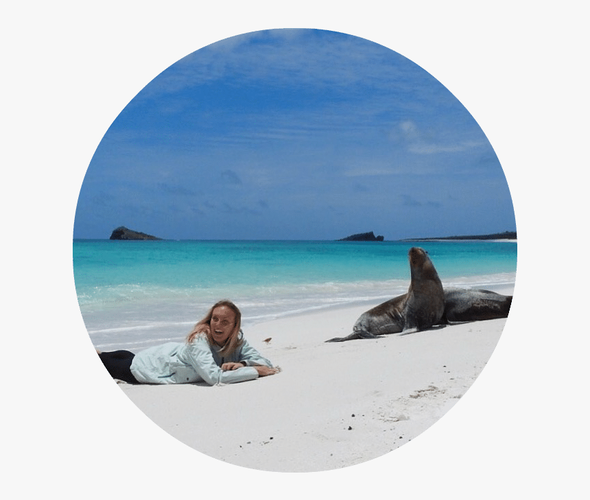 Vacation, HD Png Download