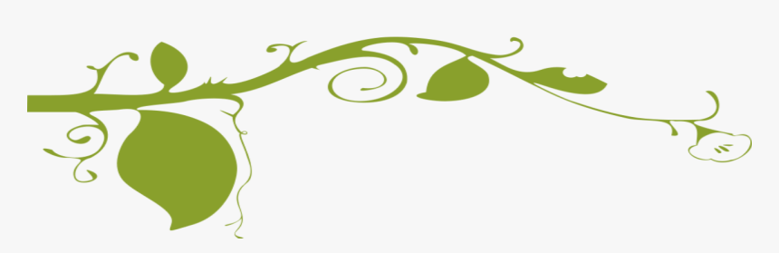 The Pumpkin River Store - Green Ornamental Plants Png, Transparent Png