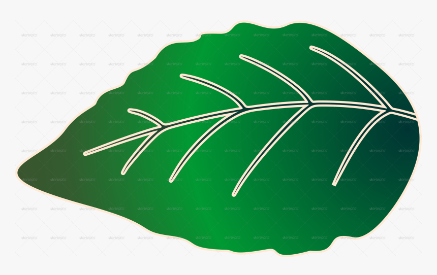 Palm Tree, HD Png Download