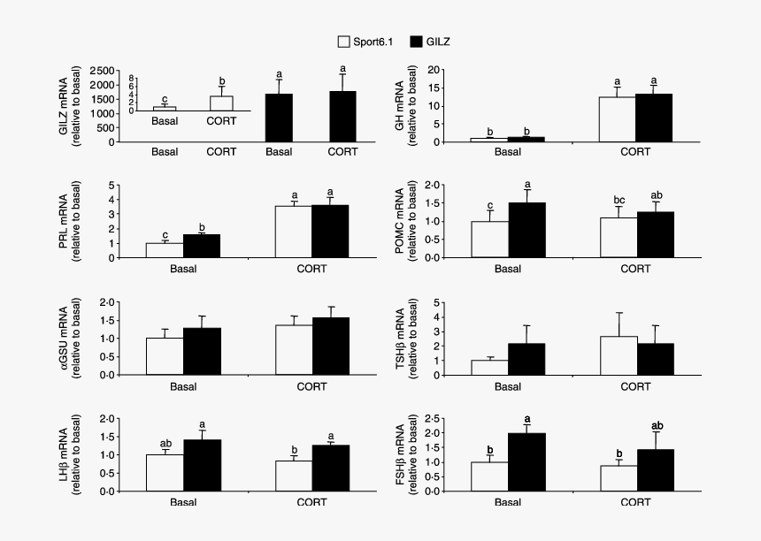Monochrome, HD Png Download
