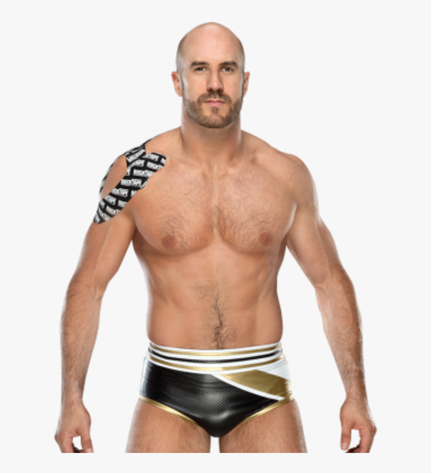 Wwe Women& - Batista Png, Transparent Png