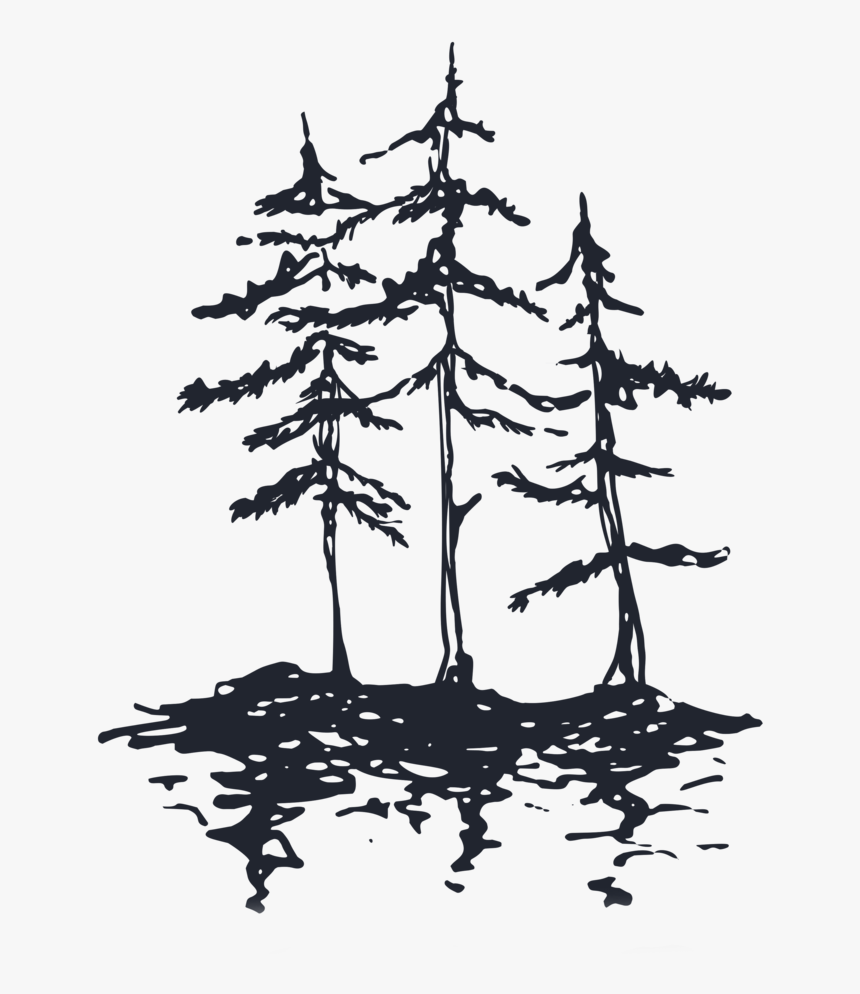 Trees - Sail, HD Png Download
