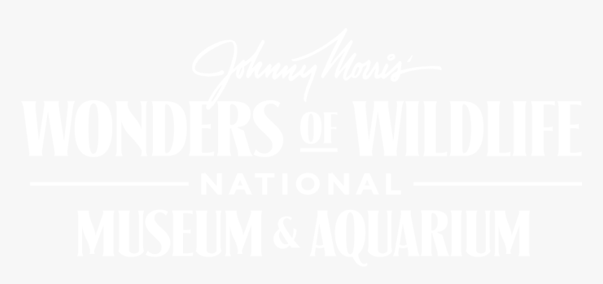 Poster, HD Png Download