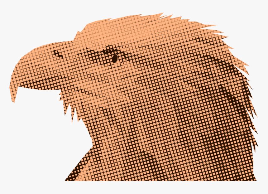 Neck,bird Of Prey,bird - Mesh, HD Png Download