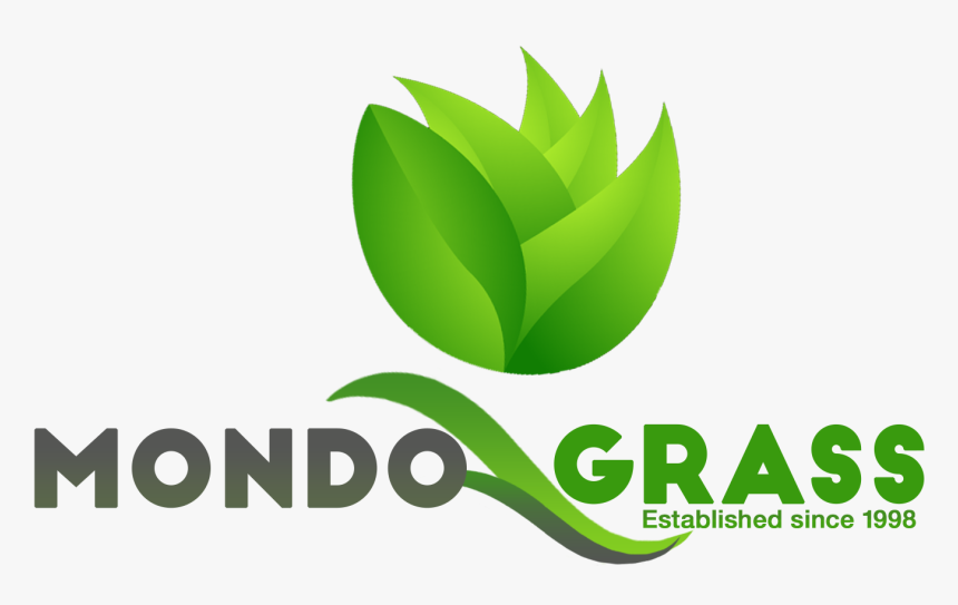 Esthablished Since - Graphic Design, HD Png Download